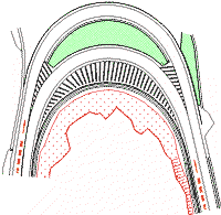 コース紹介画像　通称：月